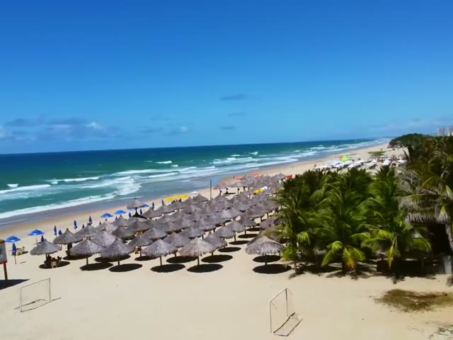 Faixa de praia com barracas de palha e coqueirais no litoral cearense